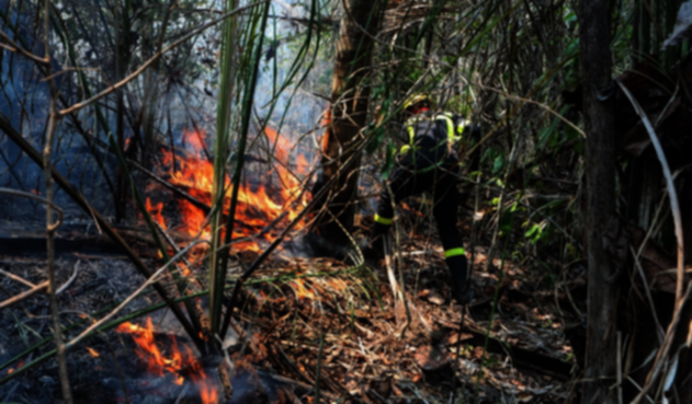 Incendios en Bolivia