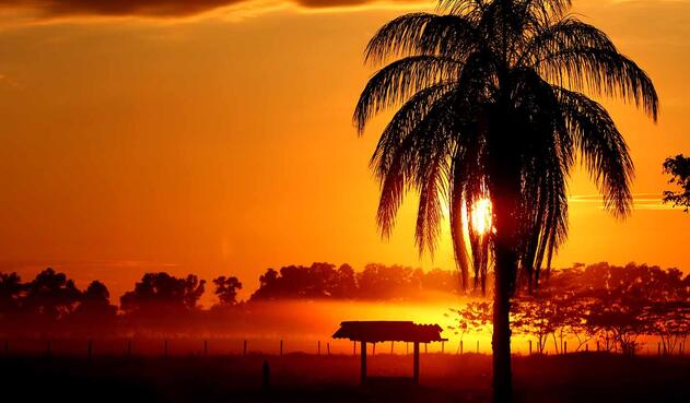 Llano de Colombia - Meta - Amanecer