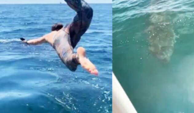 Se lanzó a nadar con un 'tiburón inofensivo' sin saber que le esperaba