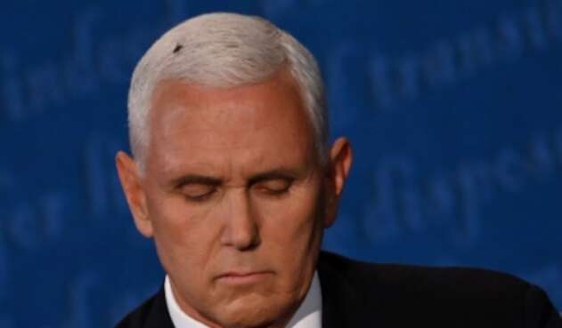 Una mosca se posó sobre el actual vicepresidente Mike Pence