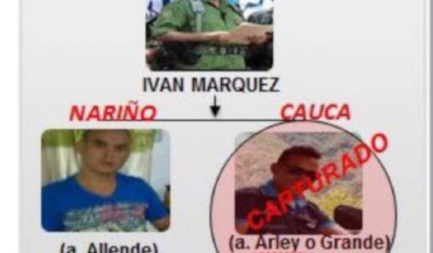 Alias Grande