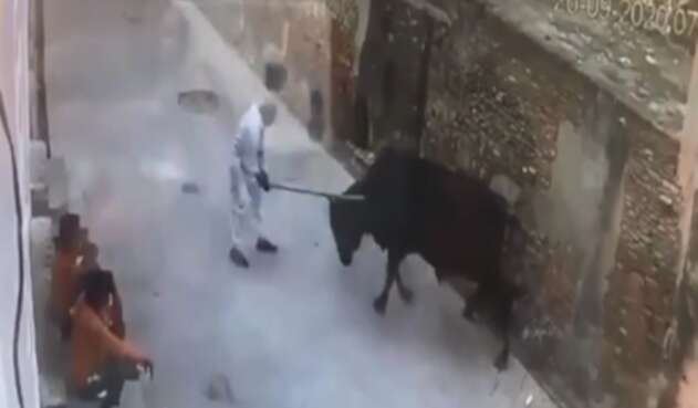 El brutal ataque de un toro a un hombre que le había pegado con un palo