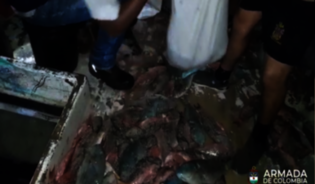 Incautan pescado en San Andrés