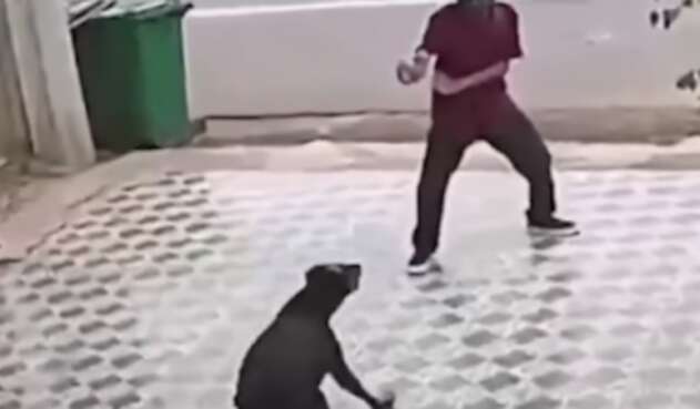 Karate Kid