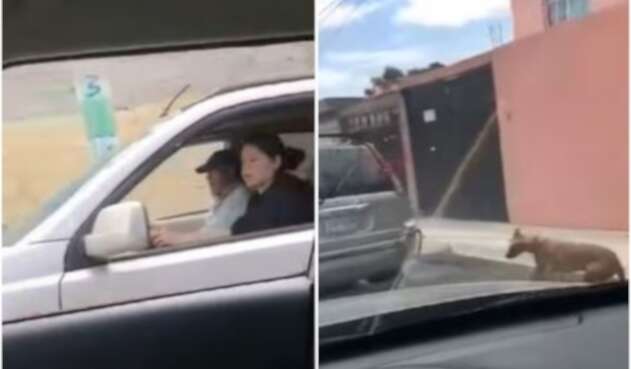 Pareja arrastró a un perro vivo desde una camioneta