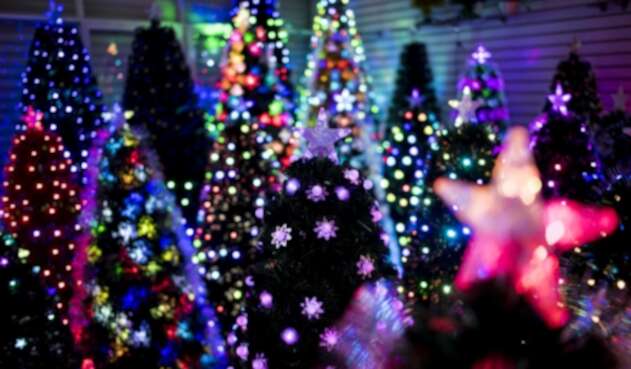 Arboles de Navidad Arboles de Navidad