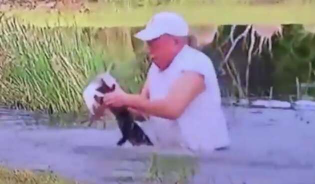 Hombre rescata a un cachorro de ser devorado por un cocodrilo