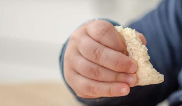 Alimentos para niños Alimentos para niños