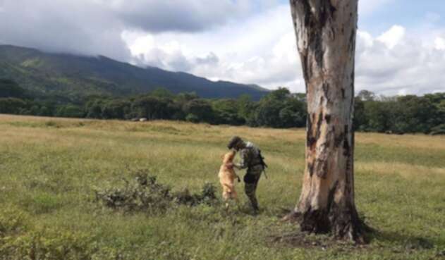 Ejercito, soldado, campo minado
