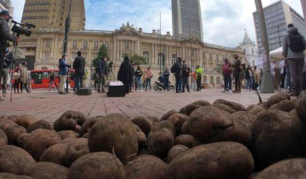 Sobreoferta de papa en Colombia: protesta de paperos en Ministerio de Agricultura