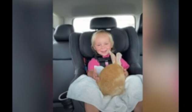 Niña recibe conejo
