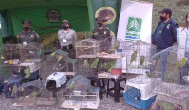 Rescate animales Carder y Policía Ambiental