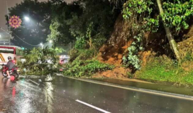 Caída de ramas en Las Palmas en Medellín.