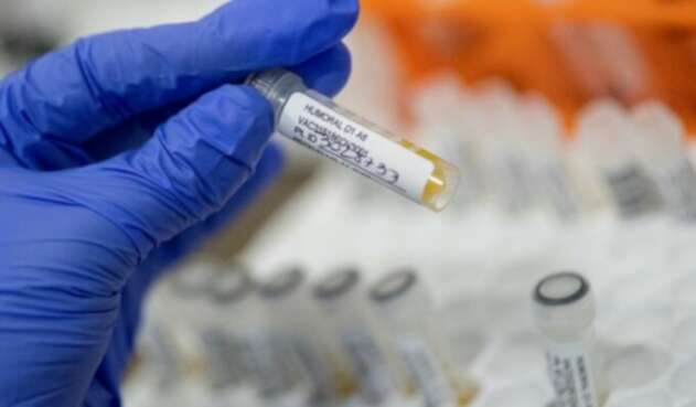 Vacunas contra el coronavirus Vacunas contra el coronavirus