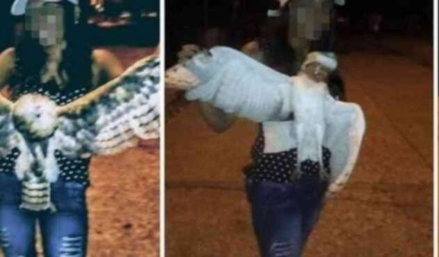 Asesinan a mujer que decapitó a una lechuza en Sucre