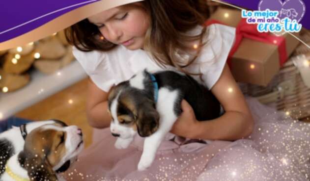 La decisión de tener una mascota en la familia, se debe tomar con responsabilidad.