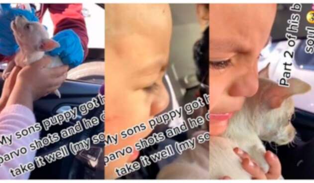 Niño llora luego de que su pequeño perro ladrara tras ser vacunado