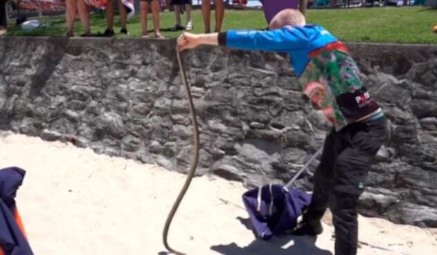 Serpiente hallada cerca de parque infantil