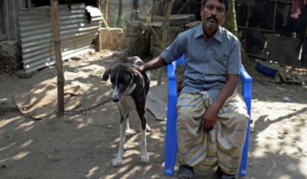 Perro Sarail