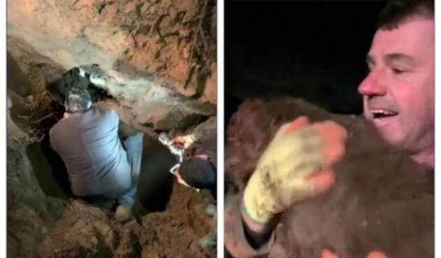 Rescate de perro con sordera Dizzy de la BBC