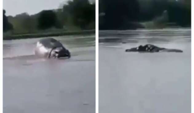 Hipopótamo en el río Magdalena