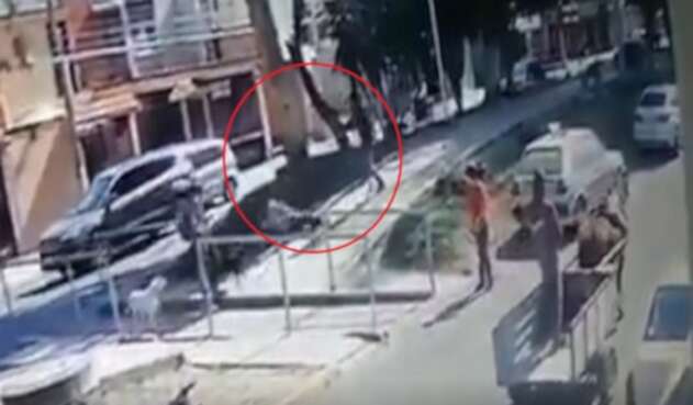 Hombre que golpeó a un perro terminó golpeado en el rostro en Perú
