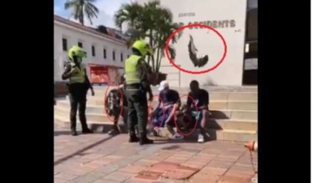 Robo de palomas