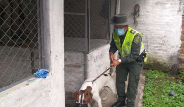 El caso ocurrió en Tuluá, Valle.