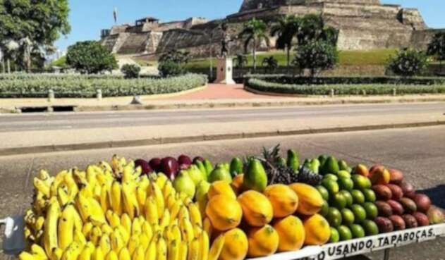 Cartagena pionera en reactivación