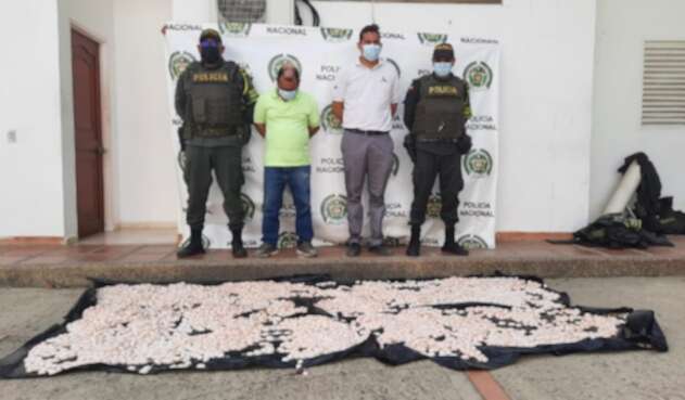 Incautan huevo de iguana