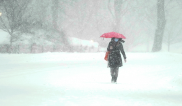 Tormenta de nieve en Nueva York