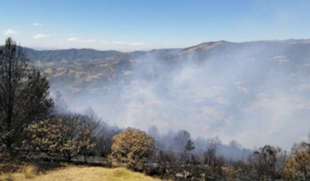 Incendio, Betéitiva, Foresta