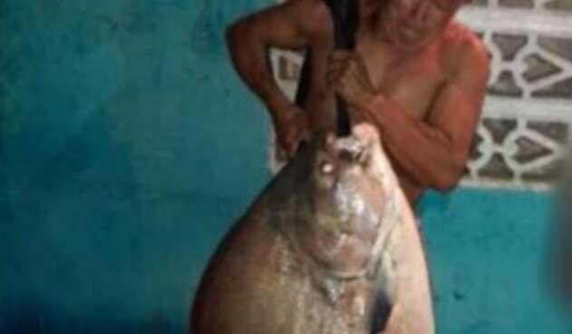 Aun no sabe si la pondrá a la venta