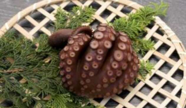 Pulpo