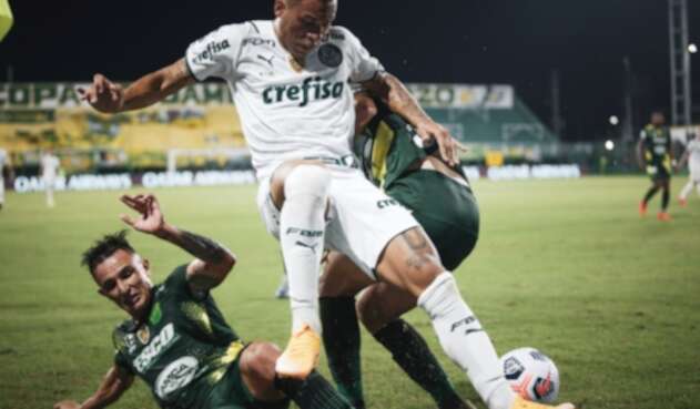 Defensa y Justicia Vs. Palmeiras - Recopa Sudamericana Defensa y Justicia Vs. Palmeiras - Recopa Sudamericana