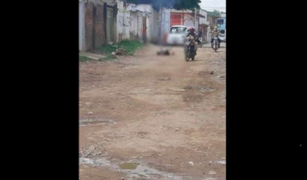 Perro incinerado