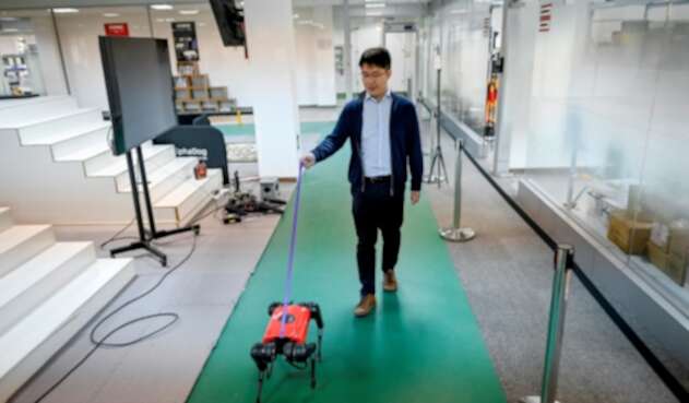 Perros-robot, el último grito tecnológico en China