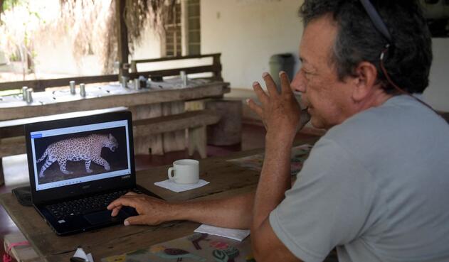 Ganadero colombiano que firmó la paz con el jaguar