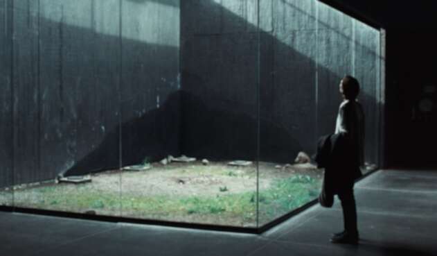 Pelicula Memoria
