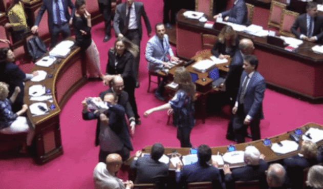 426826giphygif-1.gif