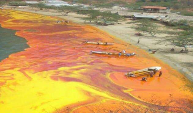 Aceite-de-Palma-LA-FM-Suministrada.jpg