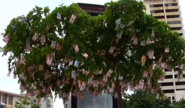 Arbol-billetes-CimaHub.jpg