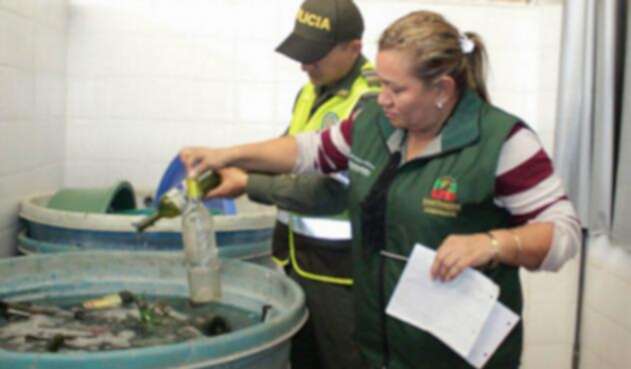 Botellas-Girón-RCN-Radio.jpg