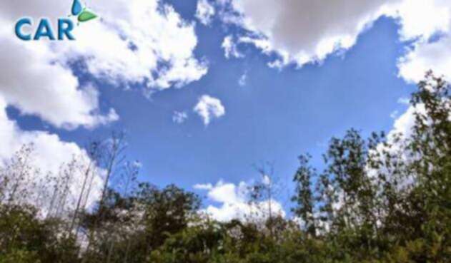 COLP_118797.jpg