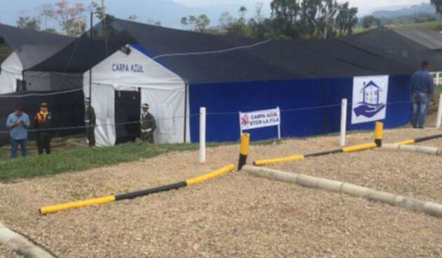 Carpa-azul-LA-FM.jpg