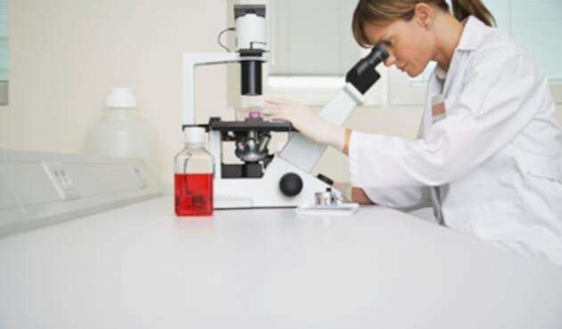 Ciencia-Ingimage.jpg