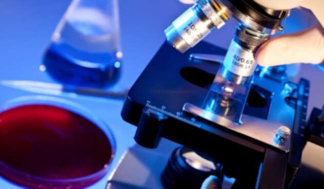 CientificosGeneticaRefINGIMAGE.jpg