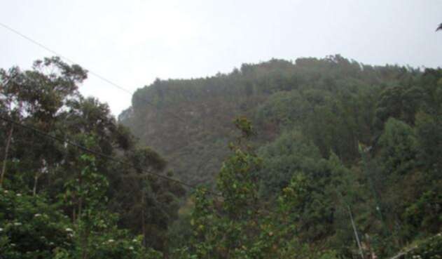 Colp_HF204028-1.jpg
