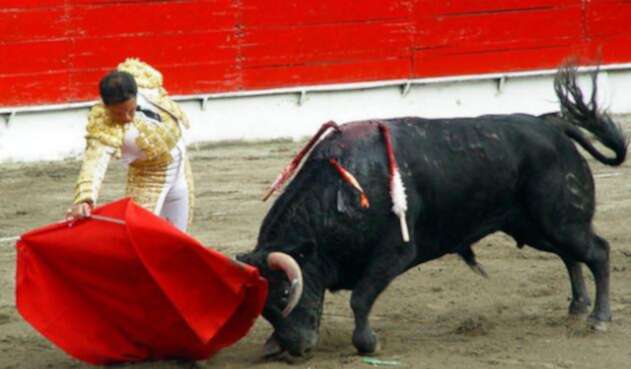 Corridas-de-toros-Colprensa.jpg