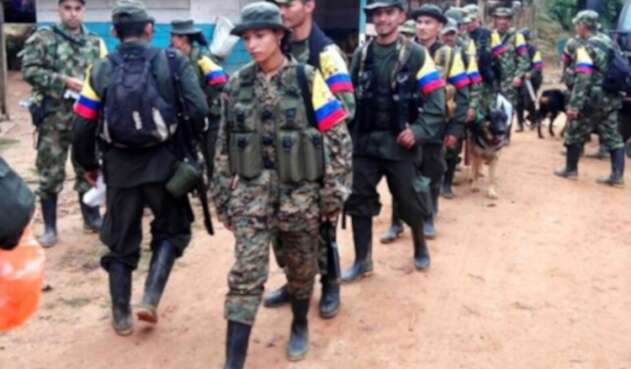 Farc-5.jpg